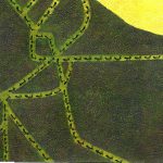 La scuola delle formiche